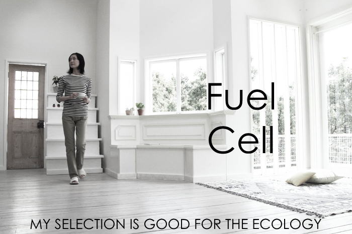 Fuel Cell  MY SELECTION IS GOOD FOR THE ECOLOGY